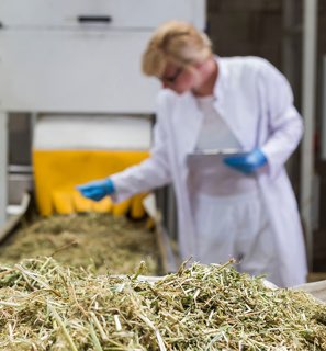 Matériaux de construction en chanvre à Revel (31)